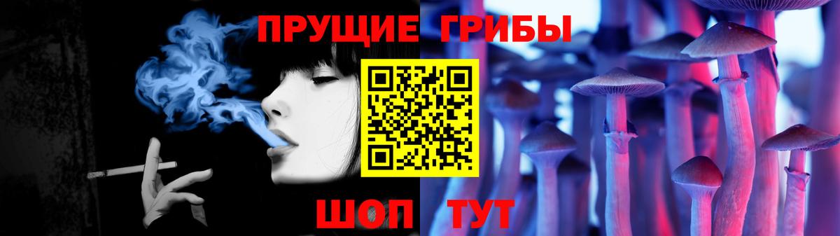 Псилоцибиновые грибы прущие грибы  Псилоцибиновые грибы GOLDEN TEACHER  даркнет сайт  Нововоронеж  Вход с VPN 